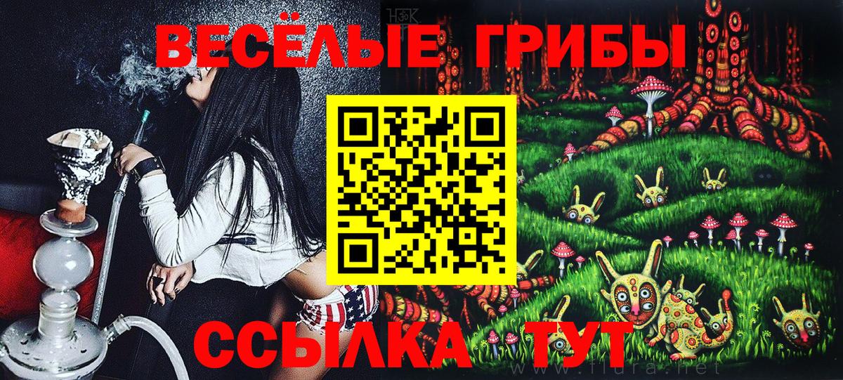 Артём  Галлюциногенные грибы прущие грибы  Вход с VPN 